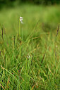 BUITEN BEELD Foto: 447978