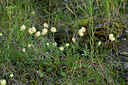 BUITEN BEELD Foto: 447980
