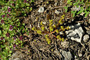 BUITEN BEELD Foto: 447982