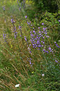 BUITEN BEELD Foto: 447983
