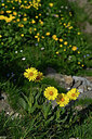 BUITEN BEELD Foto: 447985
