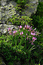 BUITEN BEELD Foto: 447987