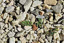BUITEN BEELD Foto: 447988