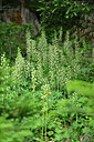 BUITEN BEELD Foto: 447991