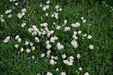 BUITEN BEELD Foto: 447992