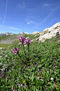 BUITEN BEELD Foto: 447993