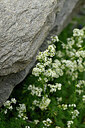 BUITEN BEELD Foto: 447994