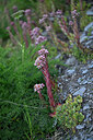 BUITEN BEELD Foto: 447995
