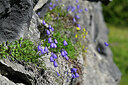 BUITEN BEELD Foto: 447996