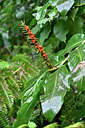 BUITEN BEELD Foto: 447997