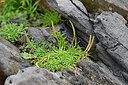 BUITEN BEELD Foto: 447999