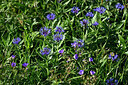BUITEN BEELD Foto: 448000