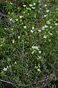 BUITEN BEELD Foto: 448001