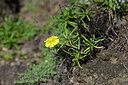 BUITEN BEELD Foto: 448002