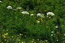 BUITEN BEELD Foto: 448004