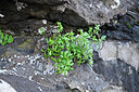 BUITEN BEELD Foto: 448006