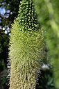 BUITEN BEELD Foto: 448010