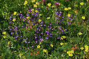 BUITEN BEELD Foto: 448016