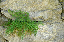 BUITEN BEELD Foto: 448019