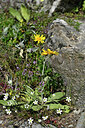 BUITEN BEELD Foto: 448022
