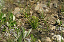 BUITEN BEELD Foto: 448023