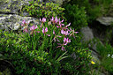 BUITEN BEELD Foto: 448026