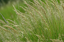 BUITEN BEELD Foto: 448030