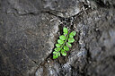 BUITEN BEELD Foto: 448031