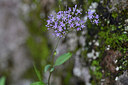 BUITEN BEELD Foto: 448038