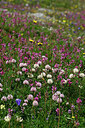 BUITEN BEELD Foto: 448039