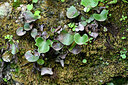 BUITEN BEELD Foto: 448041