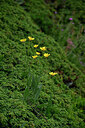 BUITEN BEELD Foto: 448046