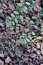 BUITEN BEELD Foto: 448050