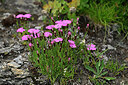 BUITEN BEELD Foto: 448052