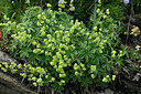 BUITEN BEELD Foto: 448055