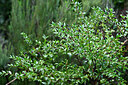 BUITEN BEELD Foto: 448058