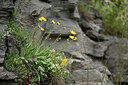 BUITEN BEELD Foto: 448059