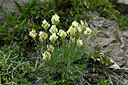 BUITEN BEELD Foto: 448063