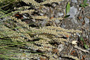 BUITEN BEELD Foto: 448064