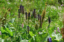 BUITEN BEELD Foto: 448065
