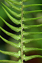 BUITEN BEELD Foto: 448066