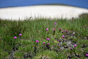 BUITEN BEELD Foto: 448067