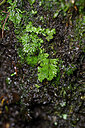 BUITEN BEELD Foto: 448068