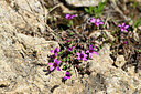 BUITEN BEELD Foto: 448069