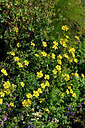 BUITEN BEELD Foto: 448071