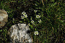 BUITEN BEELD Foto: 448072