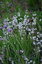 BUITEN BEELD Foto: 448073