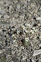 BUITEN BEELD Foto: 448075