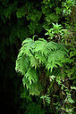 BUITEN BEELD Foto: 448076