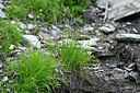 BUITEN BEELD Foto: 448079